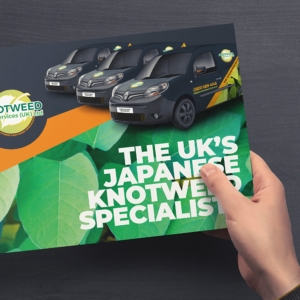 Knotweed Services Information Brochure