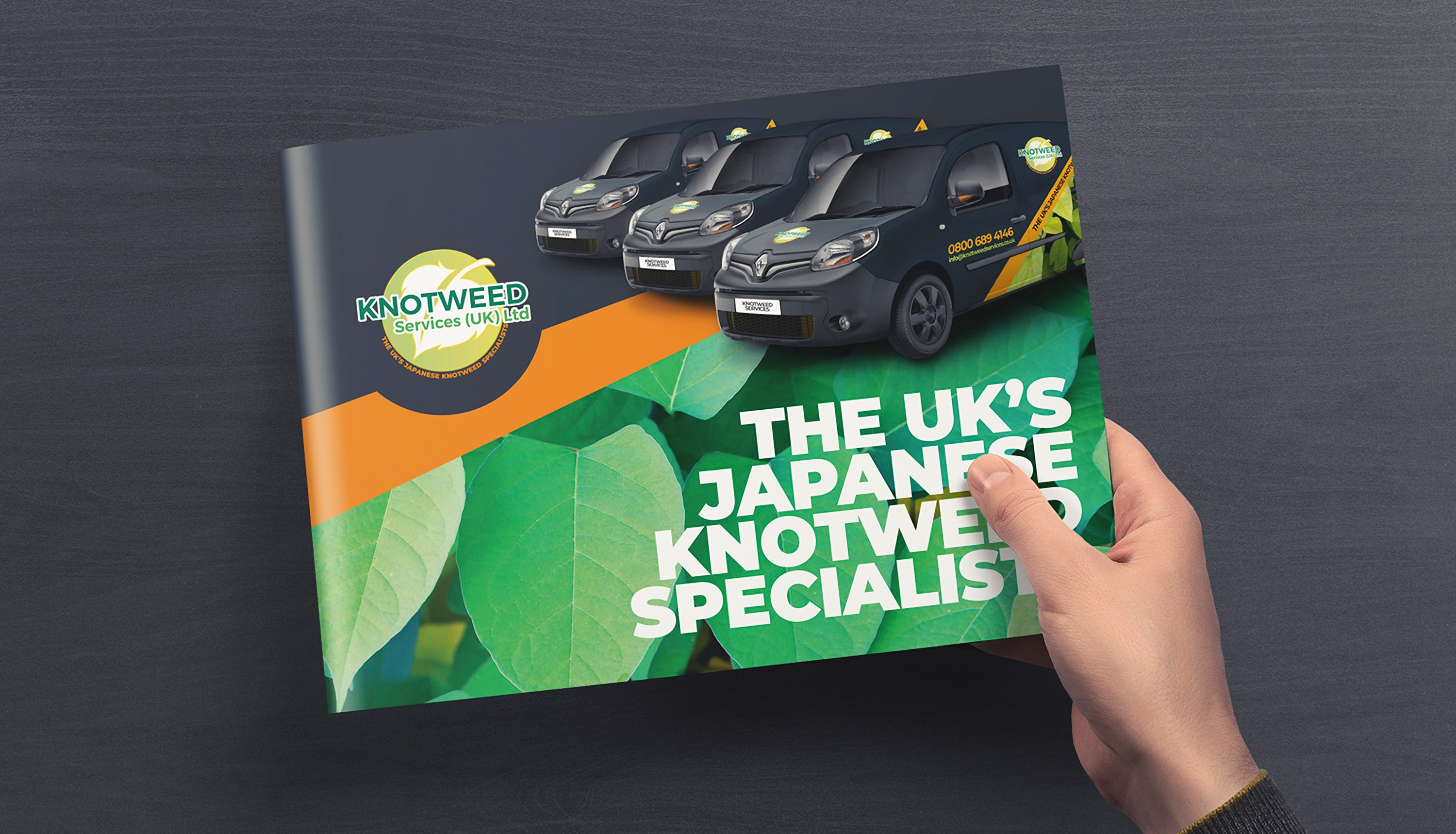 knotweed services brochure a4 matt finish 4